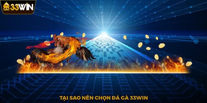 Giao diện sảnh đá gà tại 33Win với nhiều loại gà và trận đấu hấp dẫn