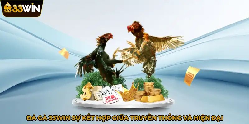 Người chơi theo dõi và đặt cược đá gà 33Win qua ứng dụng trên điện thoại